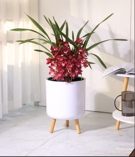 공장 직접 판매 고품질 내구성 WPC 화분 12